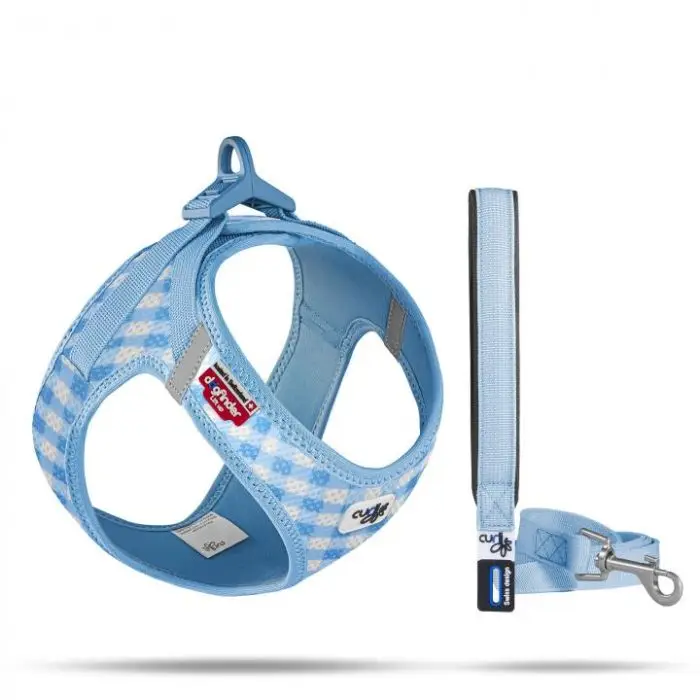 Curli Clasp Puppy Set Caro & Laisse Bleu Clair Solde