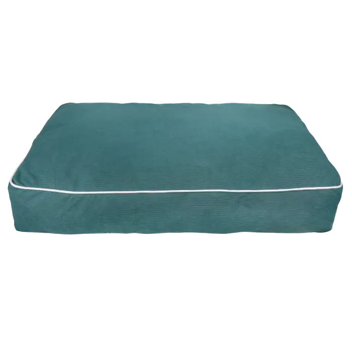 Good Teal Matelas pour Chiens Livraison Express