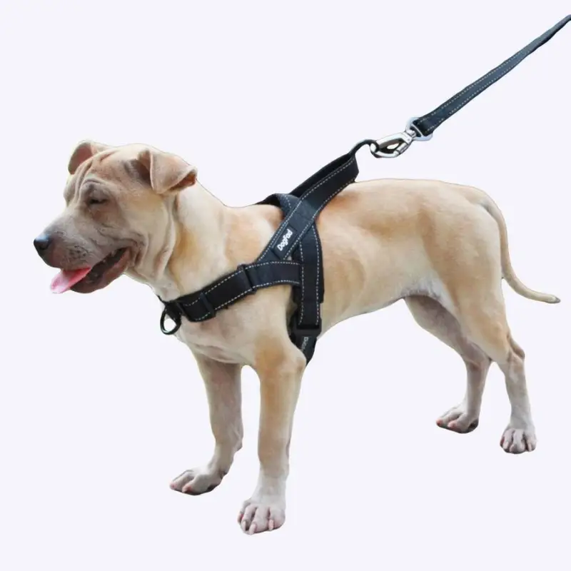 Achat Immédiat Harnais réglable pour chien