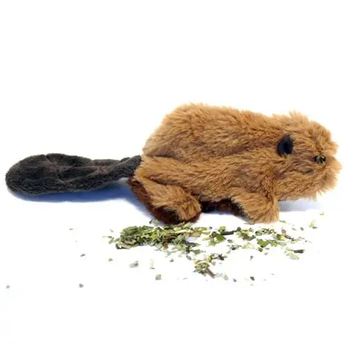 Dernier Modèle Jouet Beaver KONG