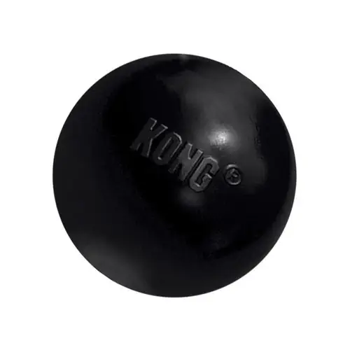 Acheter Direct Balle KONG Extreme