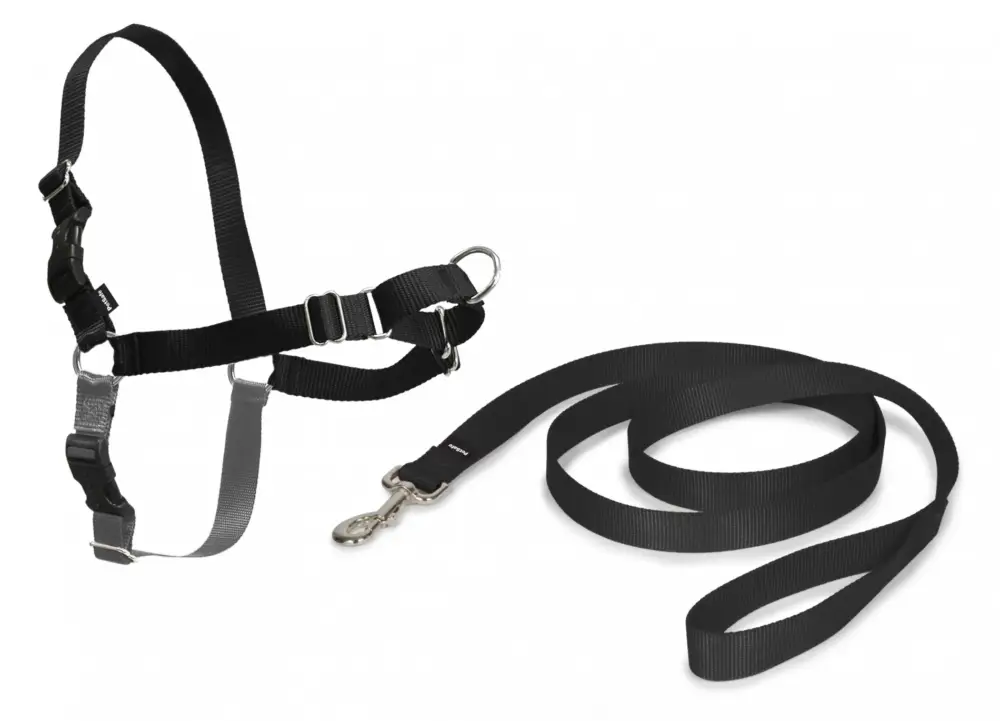 Réduction Harnais Easy Walk™ chien