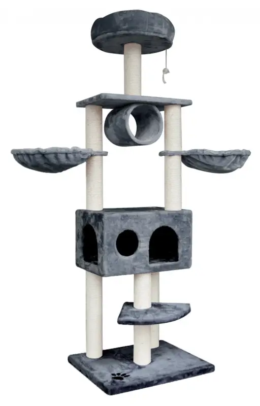 Dernière Chance Arbre à chat Gaya