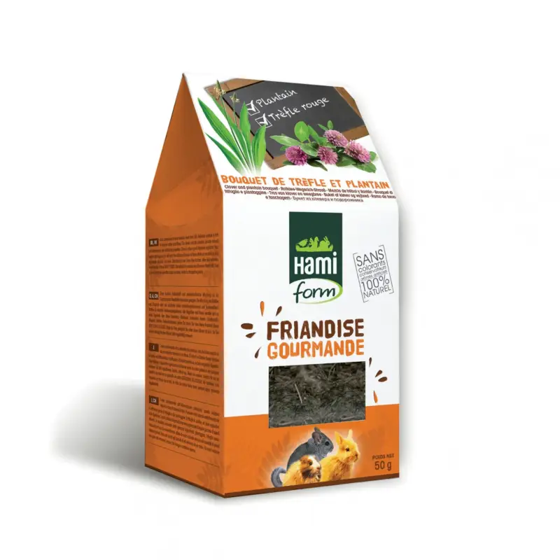 Authentique Friandise Gourmande