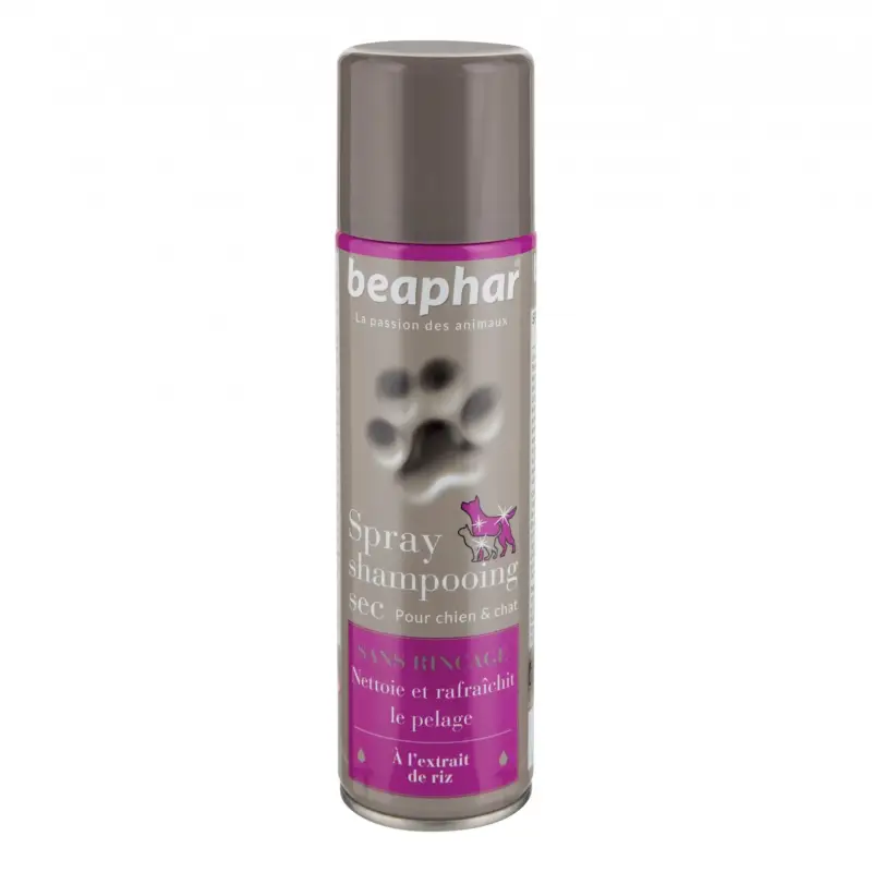 Spray Shampooing sec Commande En Gros