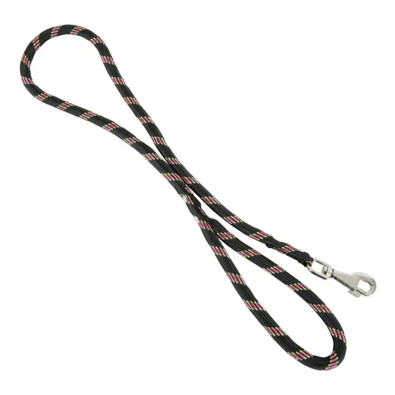 Commande En Gros Laisse corde en nylon chien