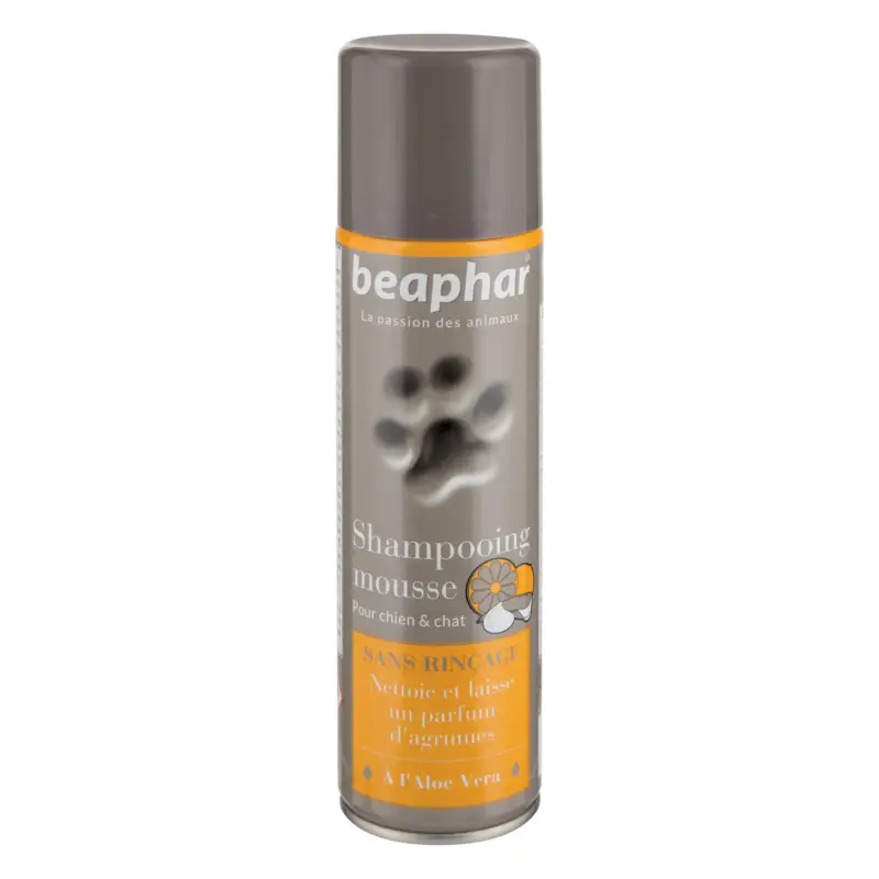 Shampooing mousse Populaire