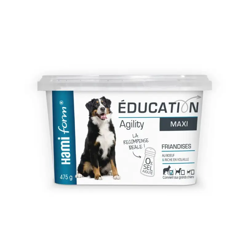 Snacks Éducation chien Haute Qualité