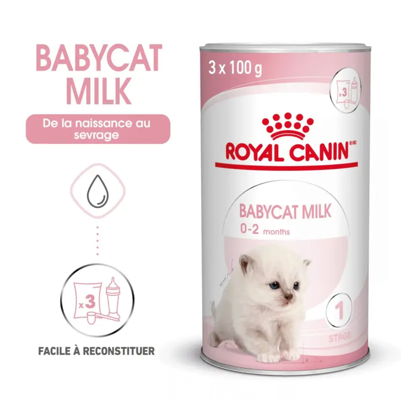 Dernière Chance Royal Canin Babycat Milk – lait maternisé chaton