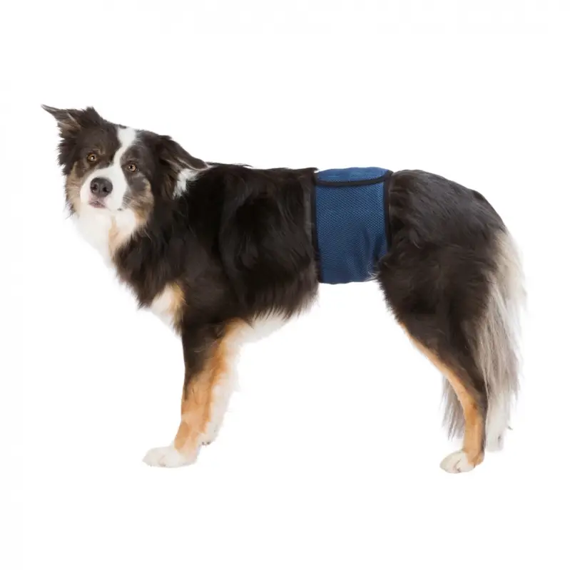Bande ventrale pour chiens mâles Marque