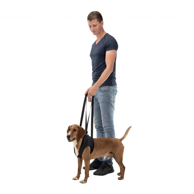 Achat Immédiat Harnais d'aide à la marche chien