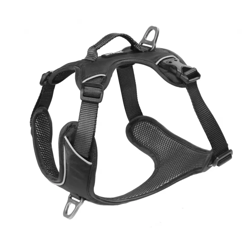 Harnais Momentum noir – chien Certifié