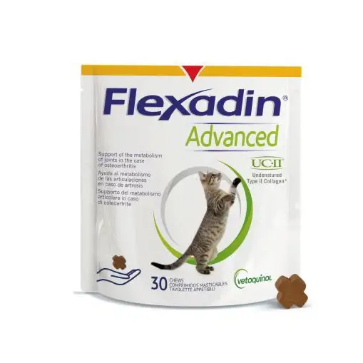 Nouveauté Flexadin Advanced chat
