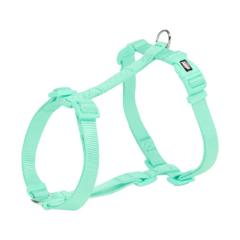Acheter En Ligne Harnais Premium – Vert Menthe