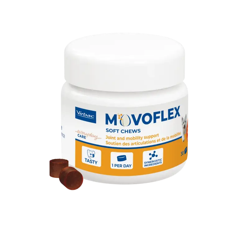 Movoflex chien Nouveauté