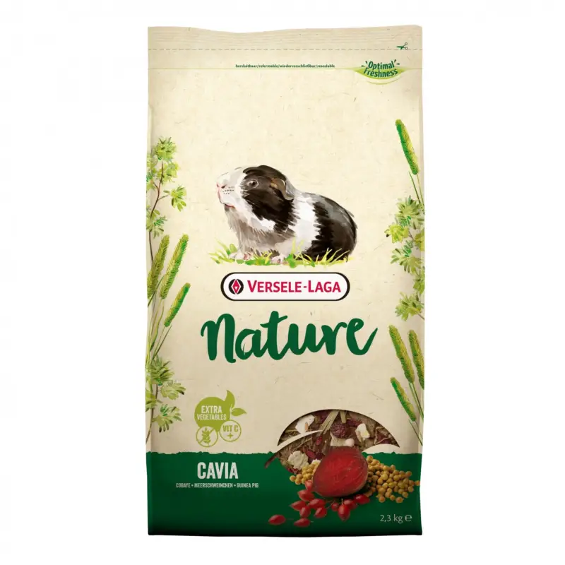 Commander Maintenant Nature Cavia