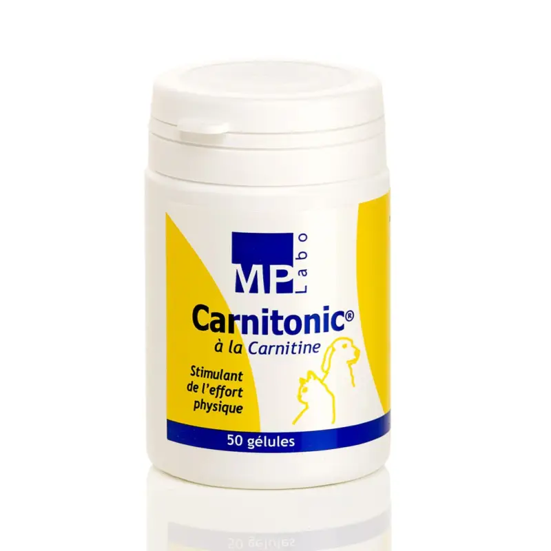 Dernière Chance Carnitonic chat, chien