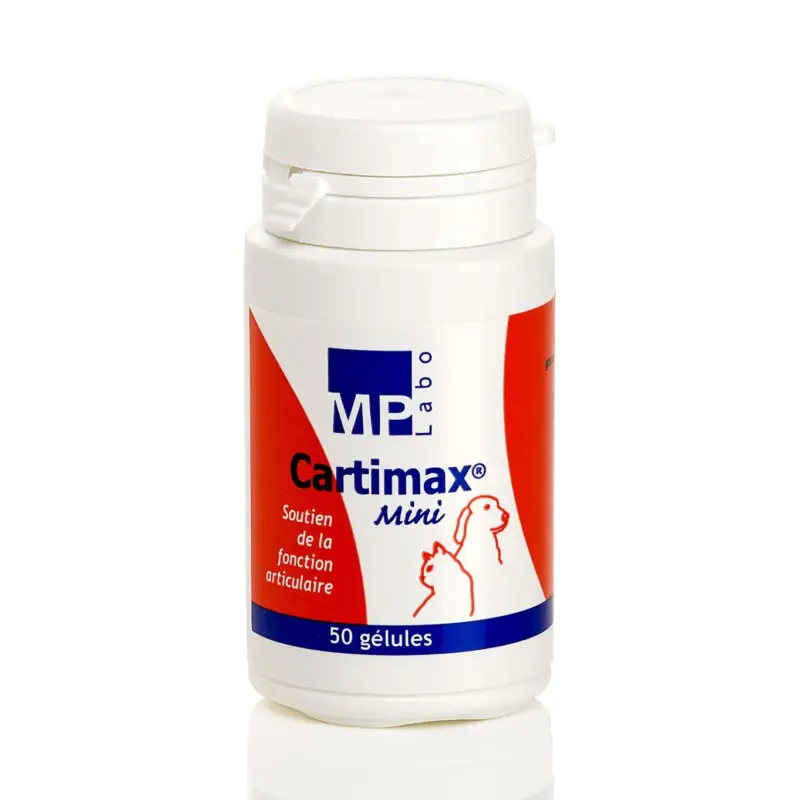 Soldes Cartimax chat, chien