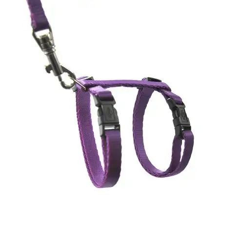 Vente Flash Parure laisse et harnais Kitty