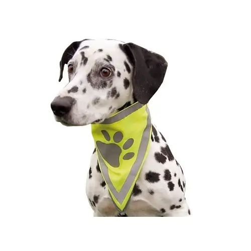 Bandana réfléchissant Promotion Saisonnière