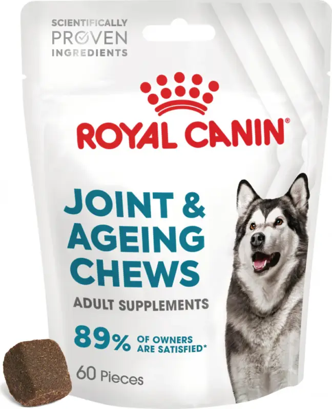 Authentique Aliment complémentaire Joint & Ageing Chews pour chien