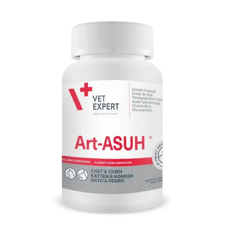 Nouveauté Art Asuh S