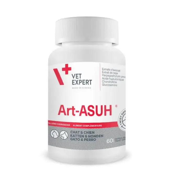 Art Asu XL 90 comprimés Vente Directe