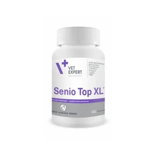 Senio Top XL chien Livraison Express