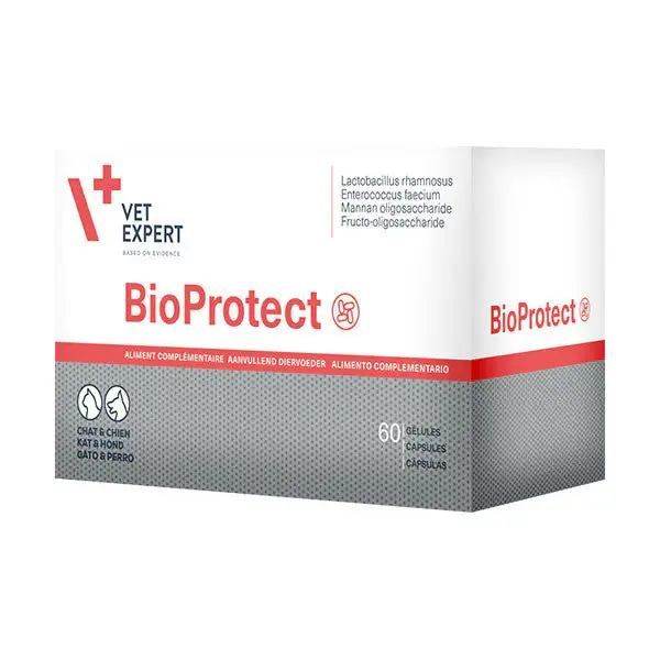 Bioprotect Chat Chien Livraison Express