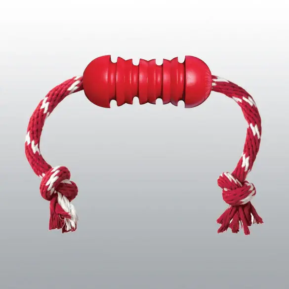 Prix Réduit Jouet Dental Kong chien