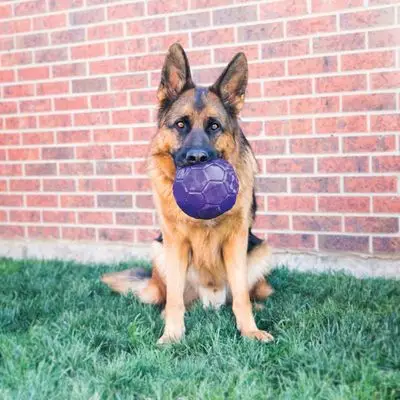 Achetez Aujourd&rsquo;hui Jouet Kong Flexball