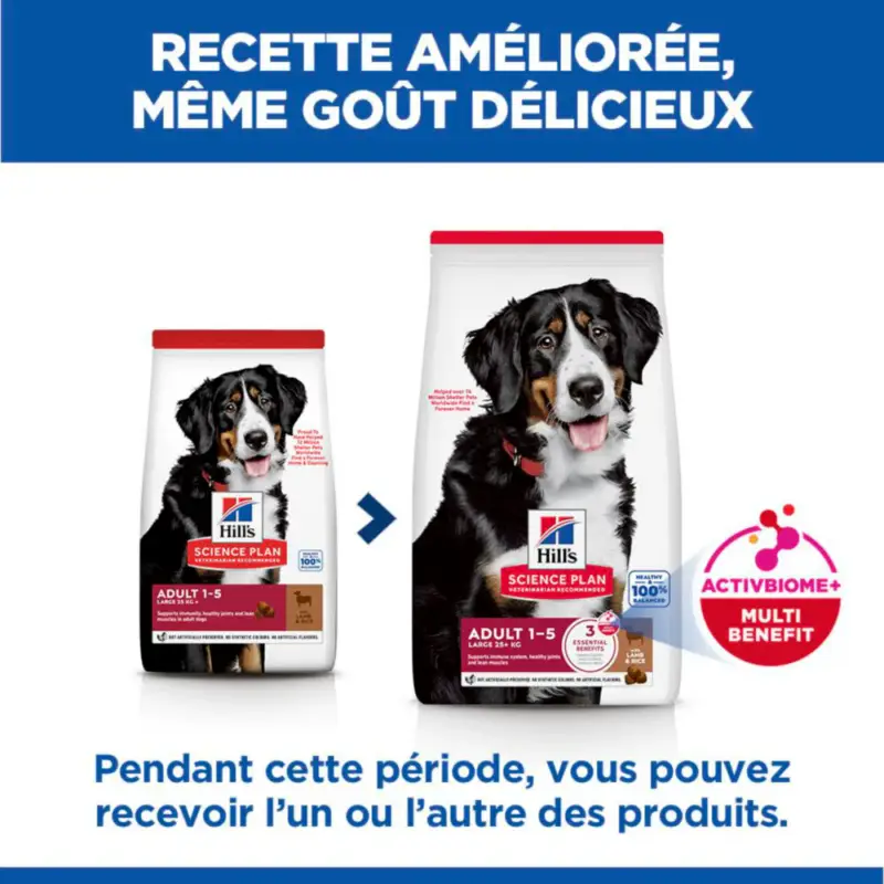 Nouveauté Sp Chien Adulte 1-5 Large Lambrice