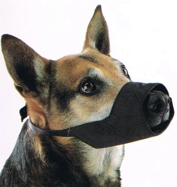 Prix Choc Muselière Nylon Kruuse chien