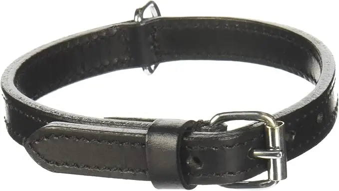 Achetez Aujourd&rsquo;hui COLLIER CUIR CHIEN ACTIVE NOIR
