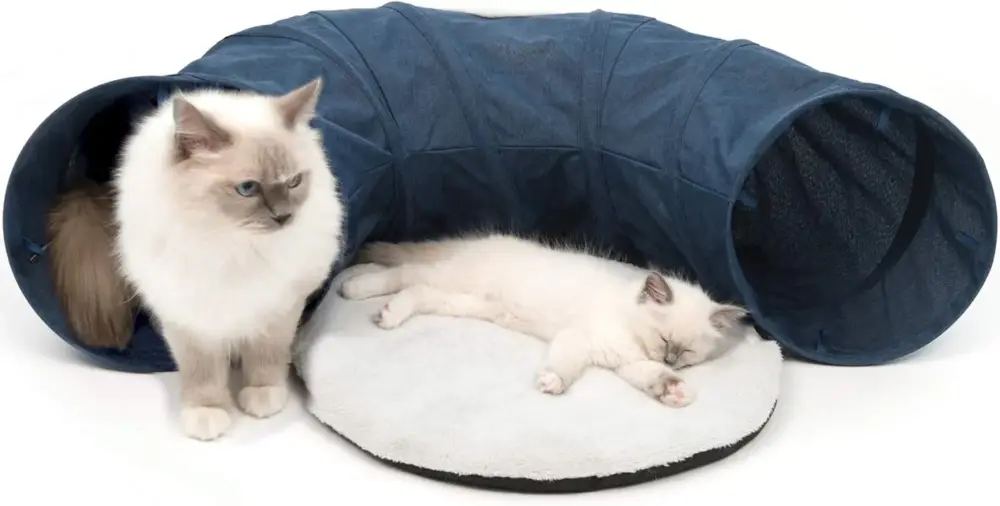Vesper – Chat – Tunnel – Bleu – 97 cm Offre Spéciale