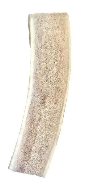 Bois de cerf coupé taille L Soldes
