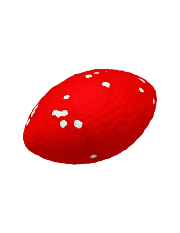 Remise Ultra Strong ballon de rugby E-TPU