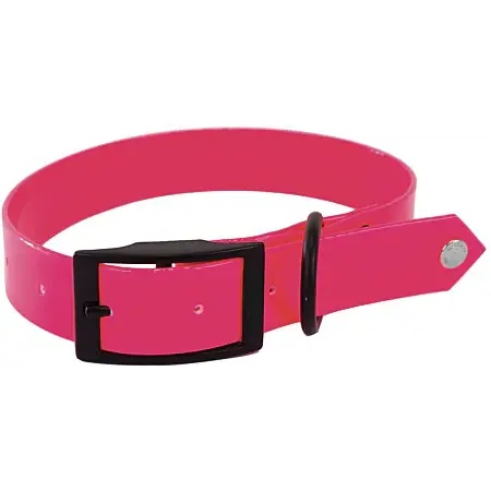 Collier fluo chasse Meilleur Prix