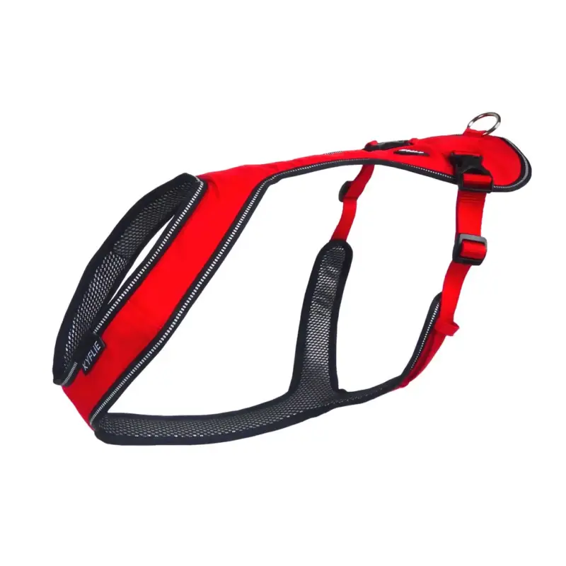 Offre Du Jour KYFLIE – Chien – Harnais Otium Mi-Long