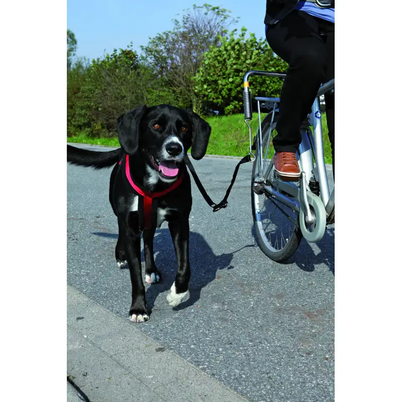Vente Directe Set d'attache velo pour chien