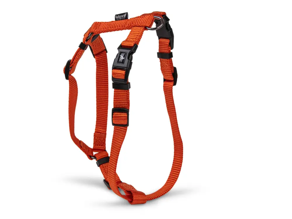 Vente Directe Harnais H Classic Nylon