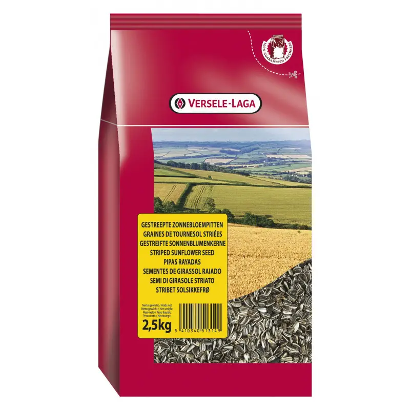 Commande En Gros Tournesols Stries 2.5Kg – VERSELE LAGA