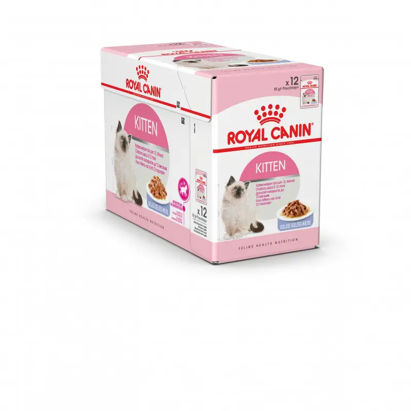 Soldes Humide chat Kitten gelée FHN wet 12x85g – ROYAL CANIN