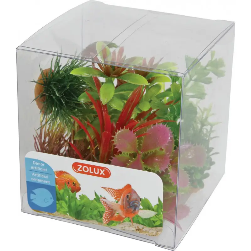 Decor plante modele 1 – ZOLUX Livraison Express