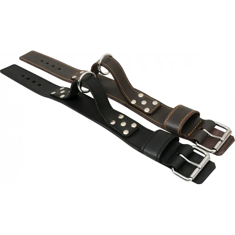 Collier a poignee – ZOLUX Dernière Chance