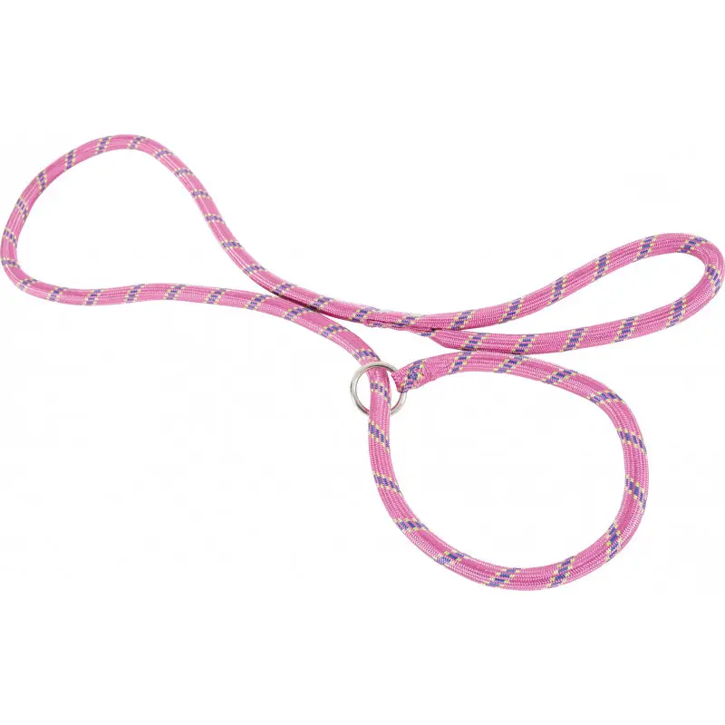 Dernier Modèle Laisse nylon lasso rose – ZOLUX