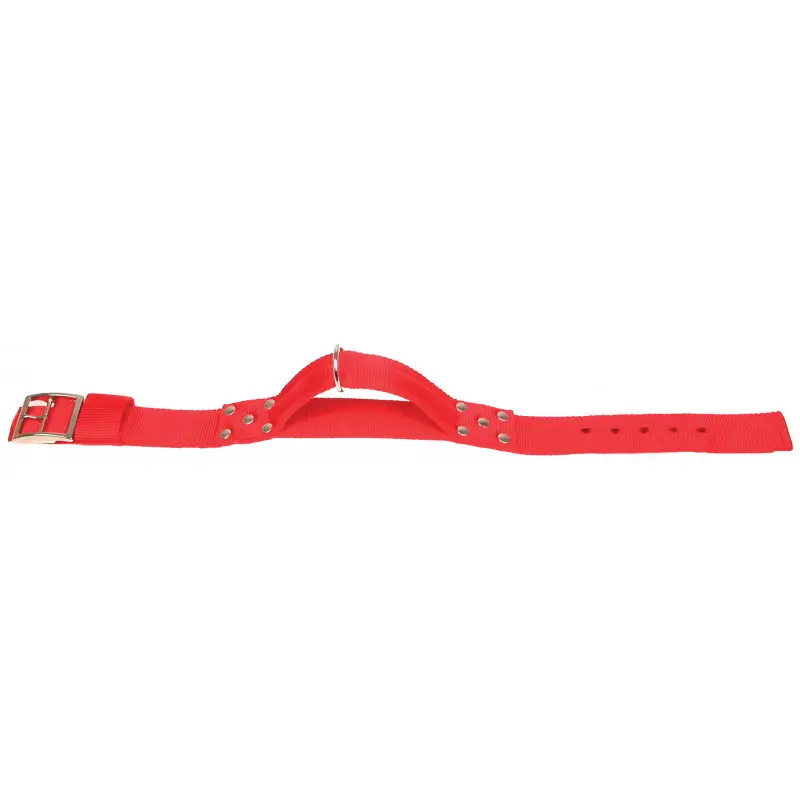 Collier nylon poignee t75 – ZOLUX Commander Vite