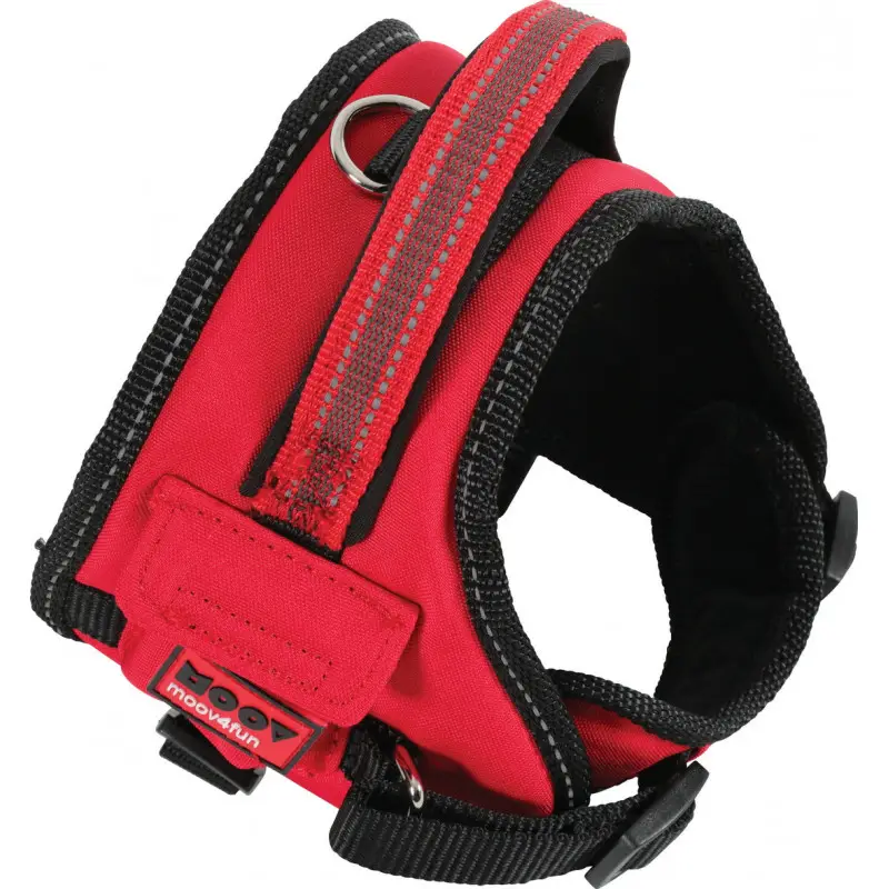 Zolux harnais confort reglable m moov 466672 – ZOLUX Produit De Marque