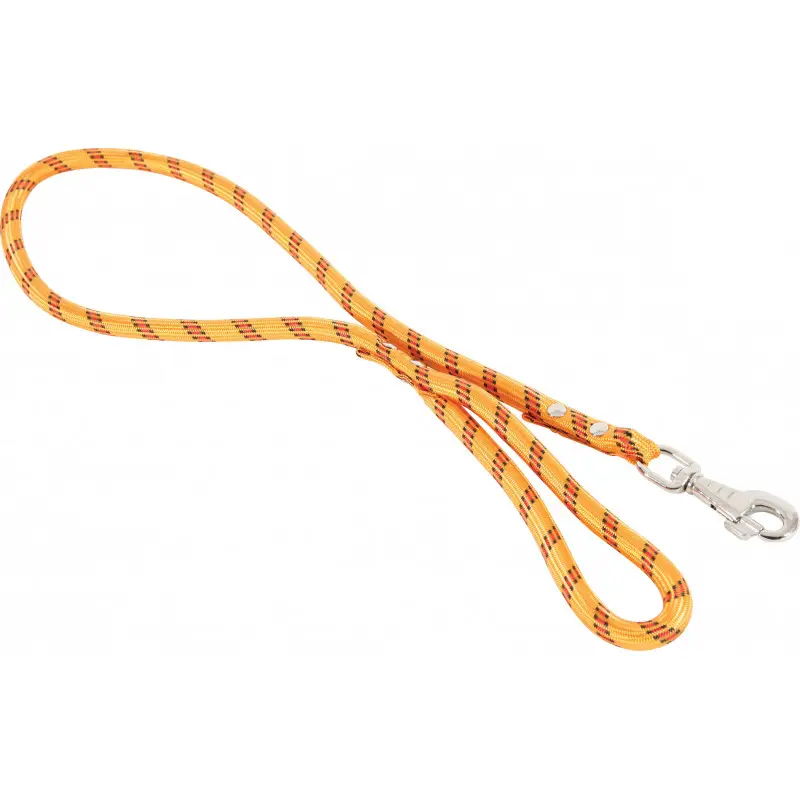 Dernier Modèle Laisse nylon corde orange – ZOLUX