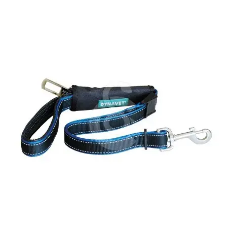 Remise Laisse Security 2 en 1 : promenadevoiture